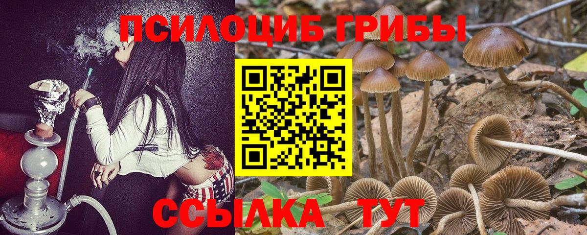 Псилоцибиновые грибы мухоморы  Вход с VPN  Баксан 